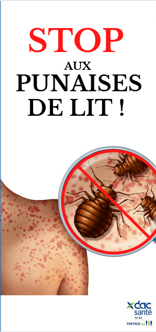 punaise de lit particulier.png